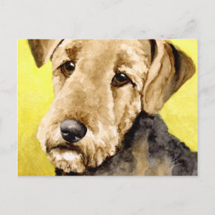 Cartes postales Airedale Terrier