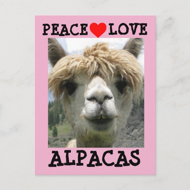 CARTES POSTALES ALPACA LOVE (Devant)