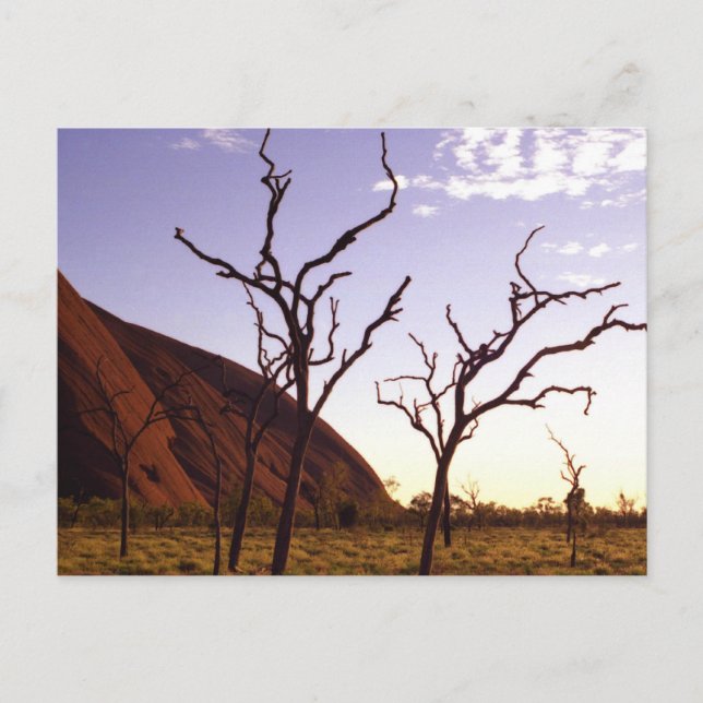 Cartes postales australiennes (Devant)