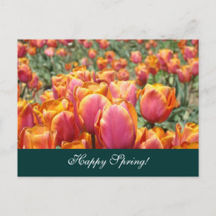Cartes postales Bon Printemps ! Tulipe Fleur Color