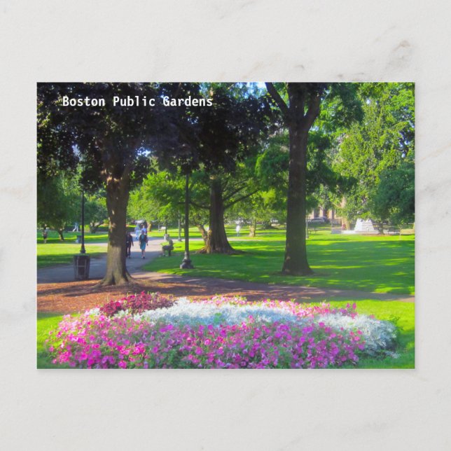 Cartes postales Boston Public Gardens (Devant)