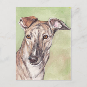 Cartes postales Brindle Greyhound Dog Art
