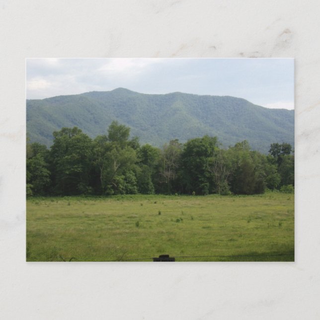 Cartes postales Cades Cove personnalisées (Devant)