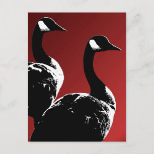 Cartes postales Canada Custom Canada Goose Cartes 