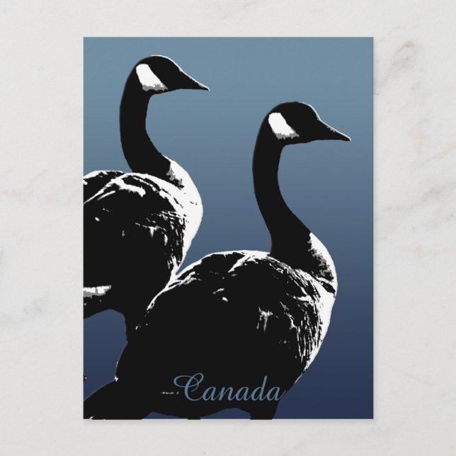 Cartes postales Canada Souvenir Cartes Canada Oies (Devant)