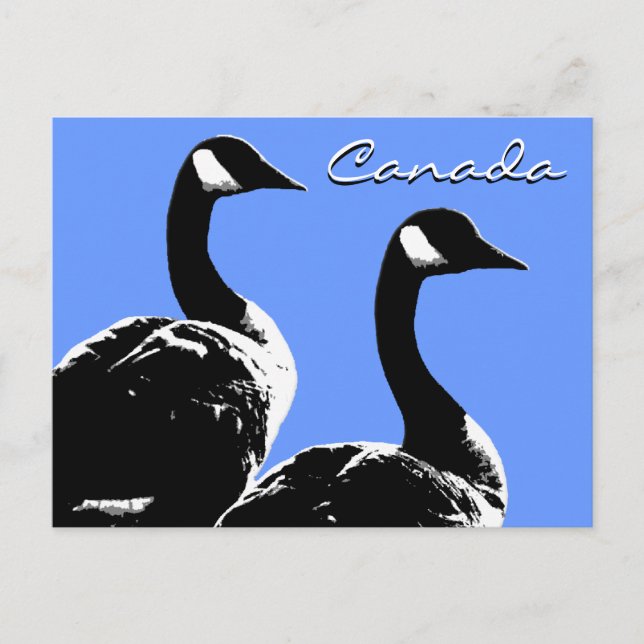 Cartes postales Canada Souvenir Cartes Canada Oies (Devant)
