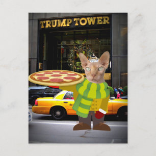CARTES POSTALES CHAT LIVRAISON DE PIZZA TRUMP TOWE