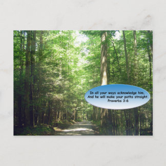 Cartes postales: Chemin dans la forêt