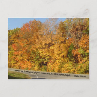 Cartes postales : Chemin vers le plaisir