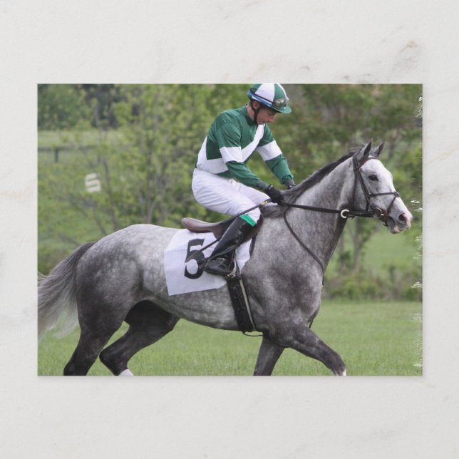 Cartes postales Cheval de course gris applaudi (Devant)
