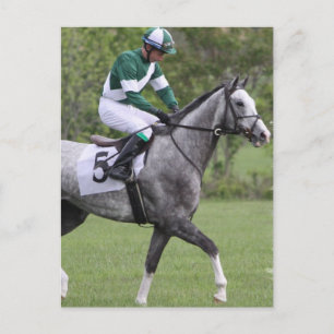 Cartes postales Cheval de course gris applaudi