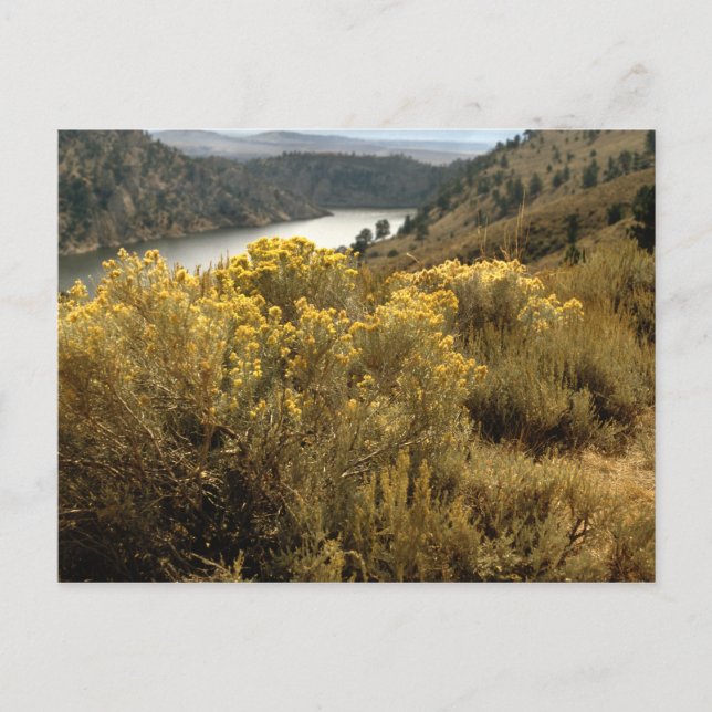 Cartes postales colorées Colorado Canyon (Devant)