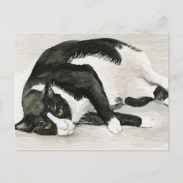 Cartes postales "Confortable Tuxedo Cat" Art (Devant)
