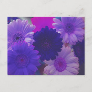 Cartes postales d'art photo à fleurs pourpres Gerb