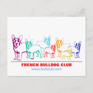 Cartes postales de Bouledogue Français