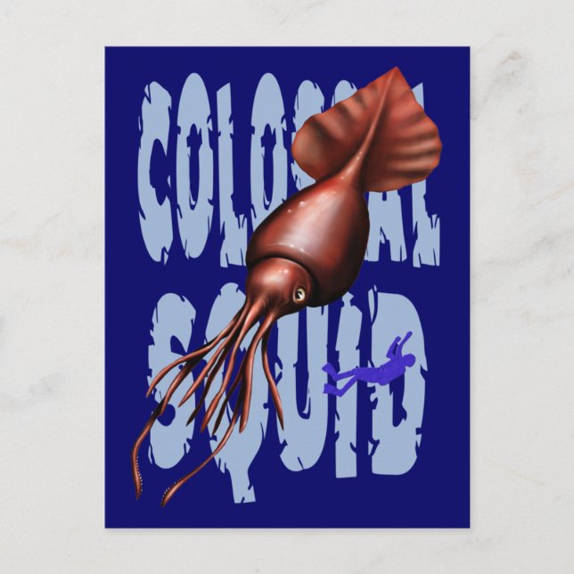 Cartes postales de calmar colossal (Devant)