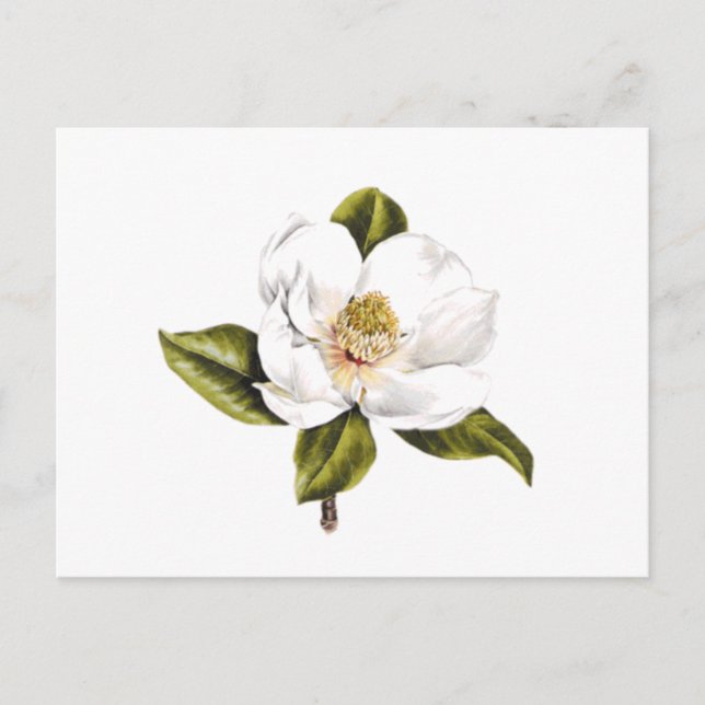 Cartes postales de changement d'adresse - ensemble (Devant)