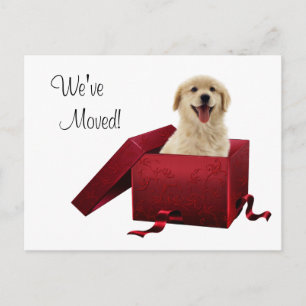 Cartes postales de changement d'adresse pour chiot