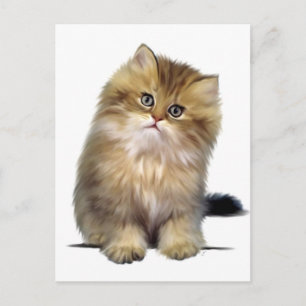 Cartes postales de chaton précieux