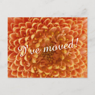 Cartes postales de déménagement pour nouvelle mais