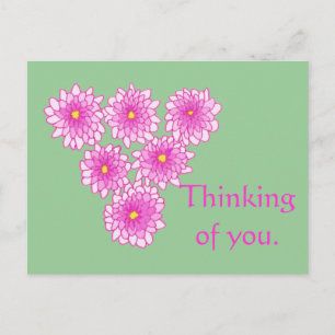 Cartes postales de fleurs de chrysanthèmes roses P