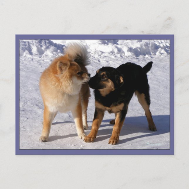 Cartes postales de jeu de marionnettes (Devant)