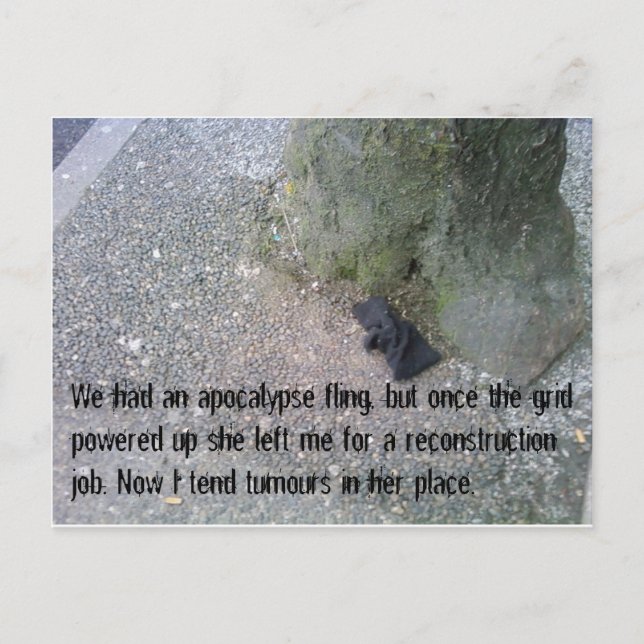 Cartes postales de l'histoire d'amour post-Apocaly (Devant)
