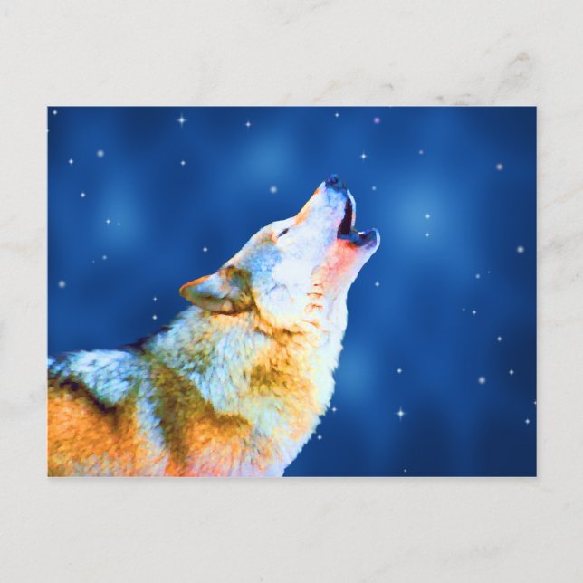 Cartes postales de Midnight Howl (Devant)