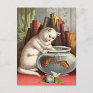Cartes postales de Naughty Cats