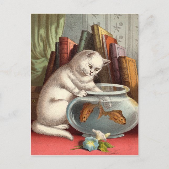 Cartes postales de Naughty Cats (Devant)
