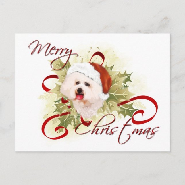 Cartes postales de Noël Bichon Frise (Devant)