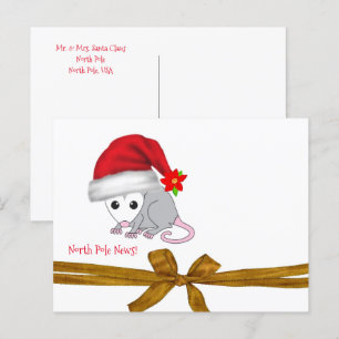 Cartes postales de Noël Pôle Nord Opossum