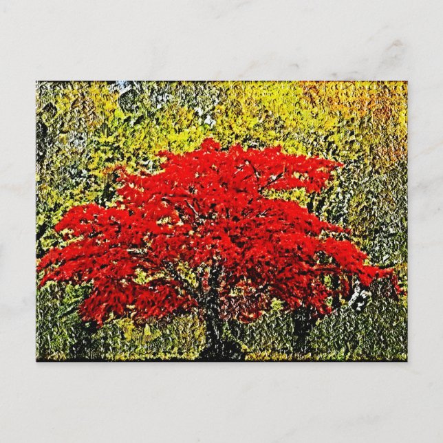 Cartes postales de peinture rouge d'automne (Devant)