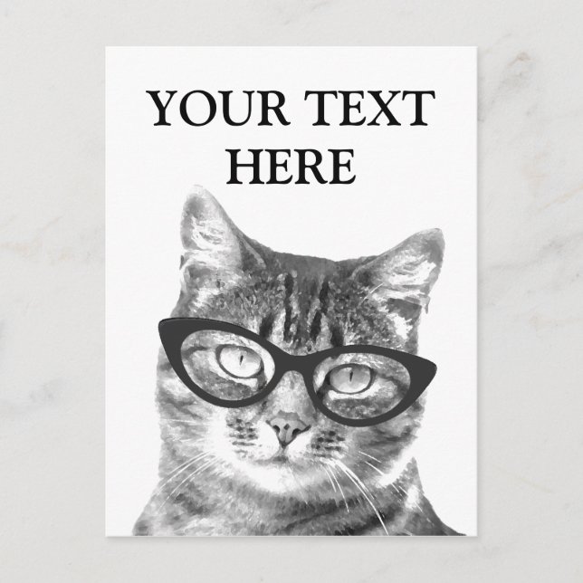Cartes postales de photo de chat amusantes (Devant)