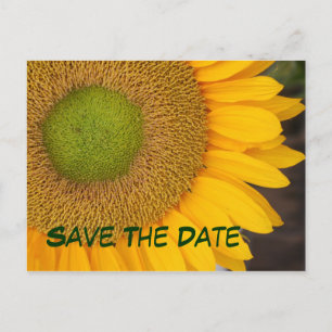 Cartes postales de photographie Tournesol pour Sau