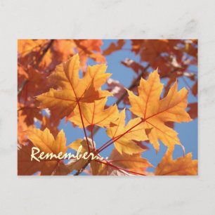 Cartes postales de rappel de service annuel