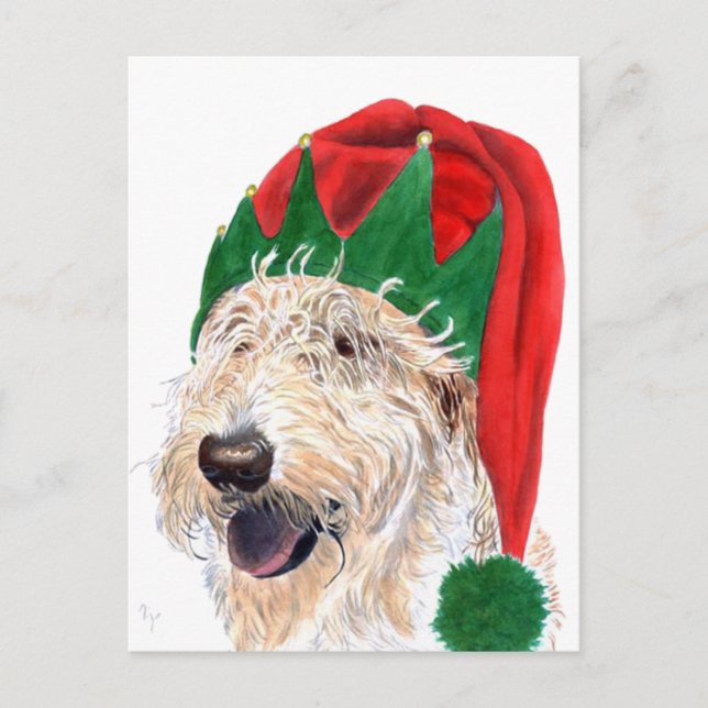 Cartes postales de Santa Helper (Devant)