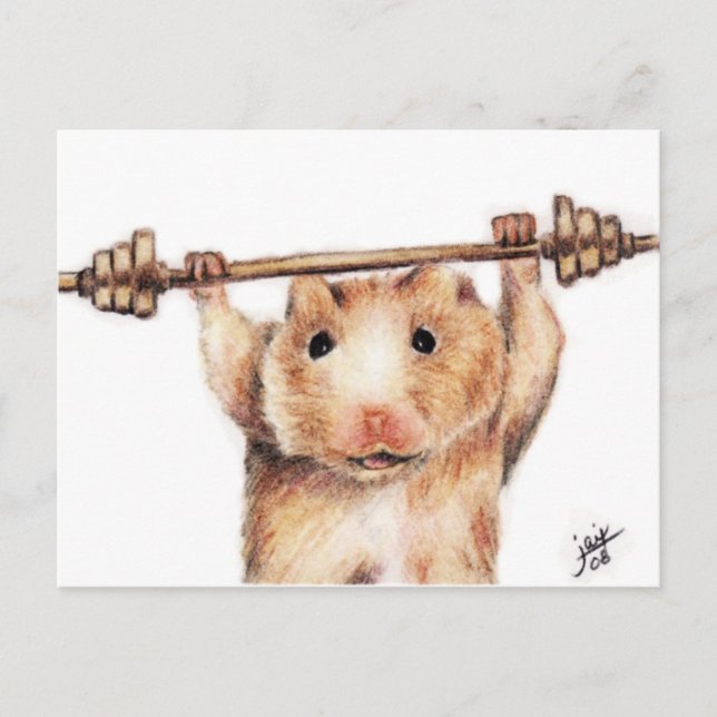 Cartes postales d'entraînement (hamster) (Devant)