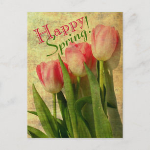 Cartes postales des bonnes tulipes de printemps