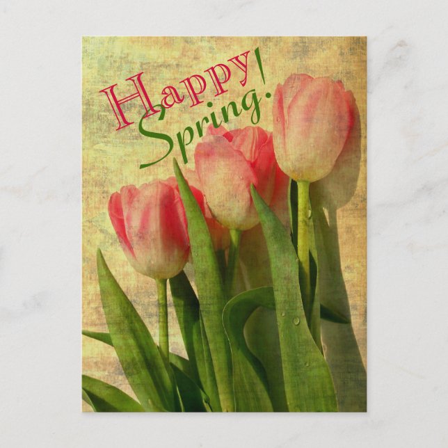 Cartes postales des bonnes tulipes de printemps (Devant)