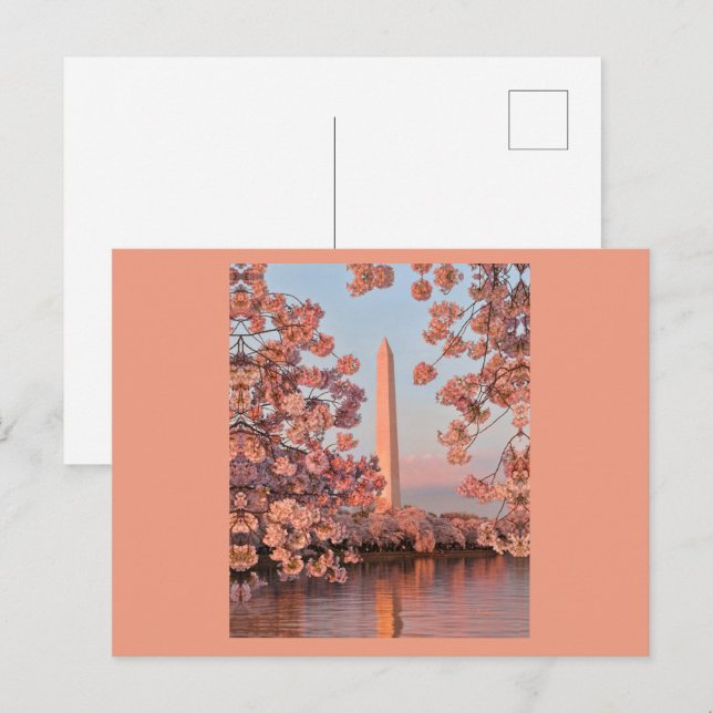 Cartes postales des cerisiers en fleurs et du monu (Devant / Derrière)
