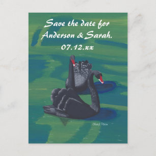 Cartes postales Deux Cygnes Noirs Nageant Save the