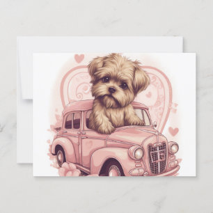Cartes Postales Dog Yorkshire Postcard