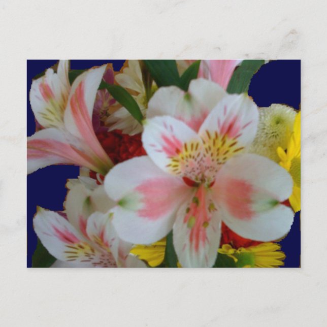 Cartes postales du bouquet de printemps (Devant)