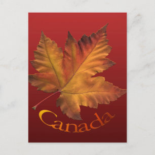 Cartes postales du Canada Carte postale Souvenir d