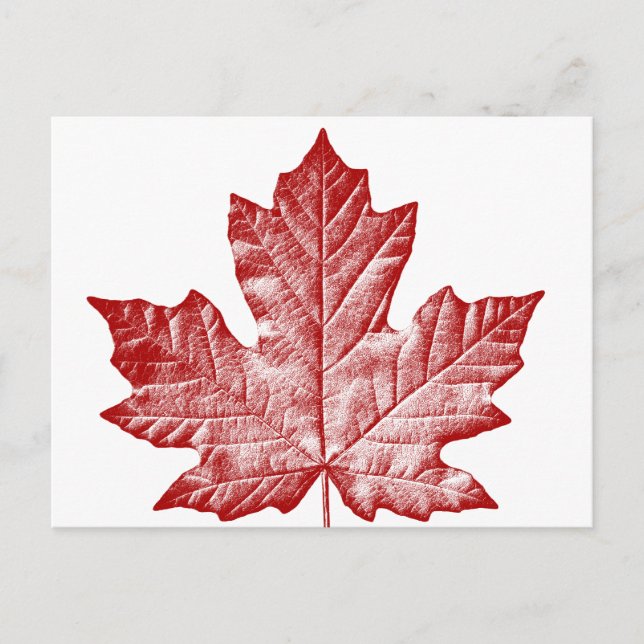 Cartes postales du Canada Cartes postales Cool sou (Devant)