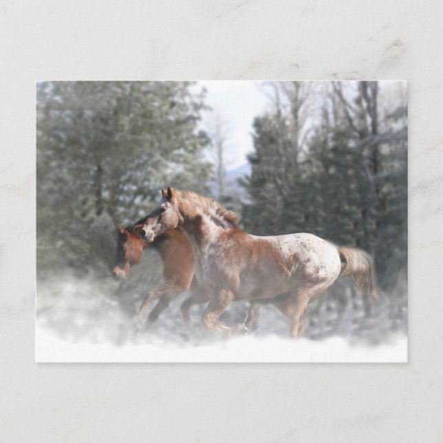 Cartes postales du Cheval de Noël (Devant)