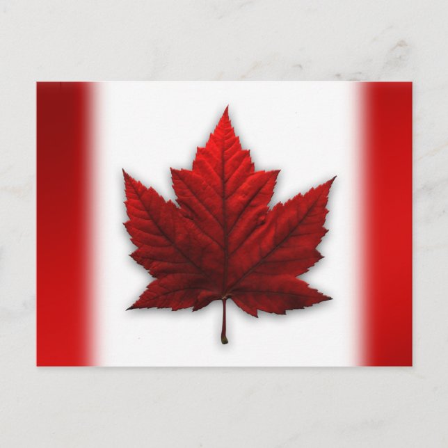 Cartes postales du drapeau du Canada Cartes postal (Devant)