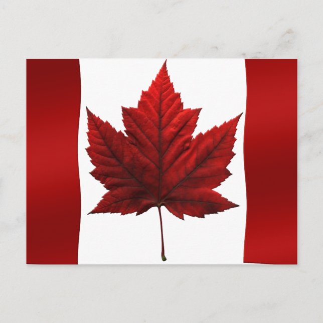 Cartes postales du drapeau du Canada Cartes postal (Devant)