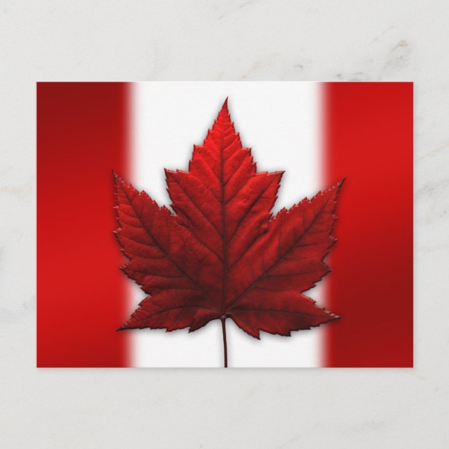 Cartes postales du drapeau du Canada Cartes postal (Devant)